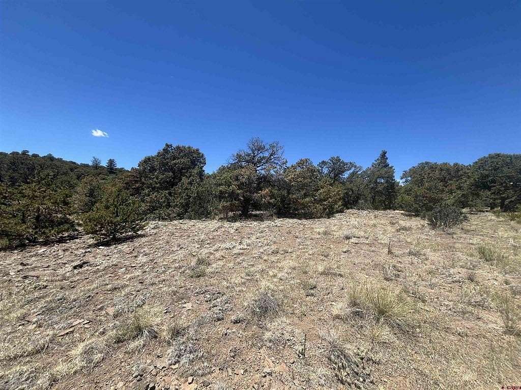 0.78 Acres of Land for Sale in South Fork, Colorado