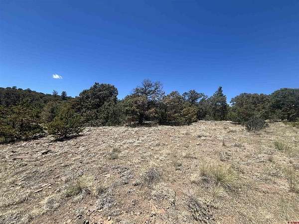 0.78 Acres of Land for Sale in South Fork, Colorado