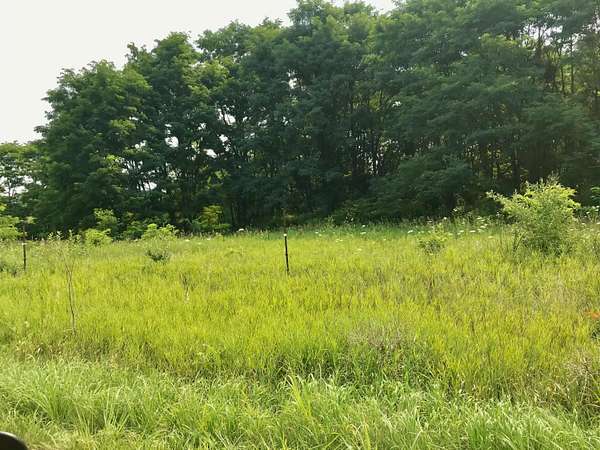 1 Acre of Land for Sale in Three Rivers, Michigan