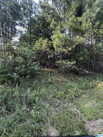 4.8 Acres of Land for Sale in Odenville, Alabama