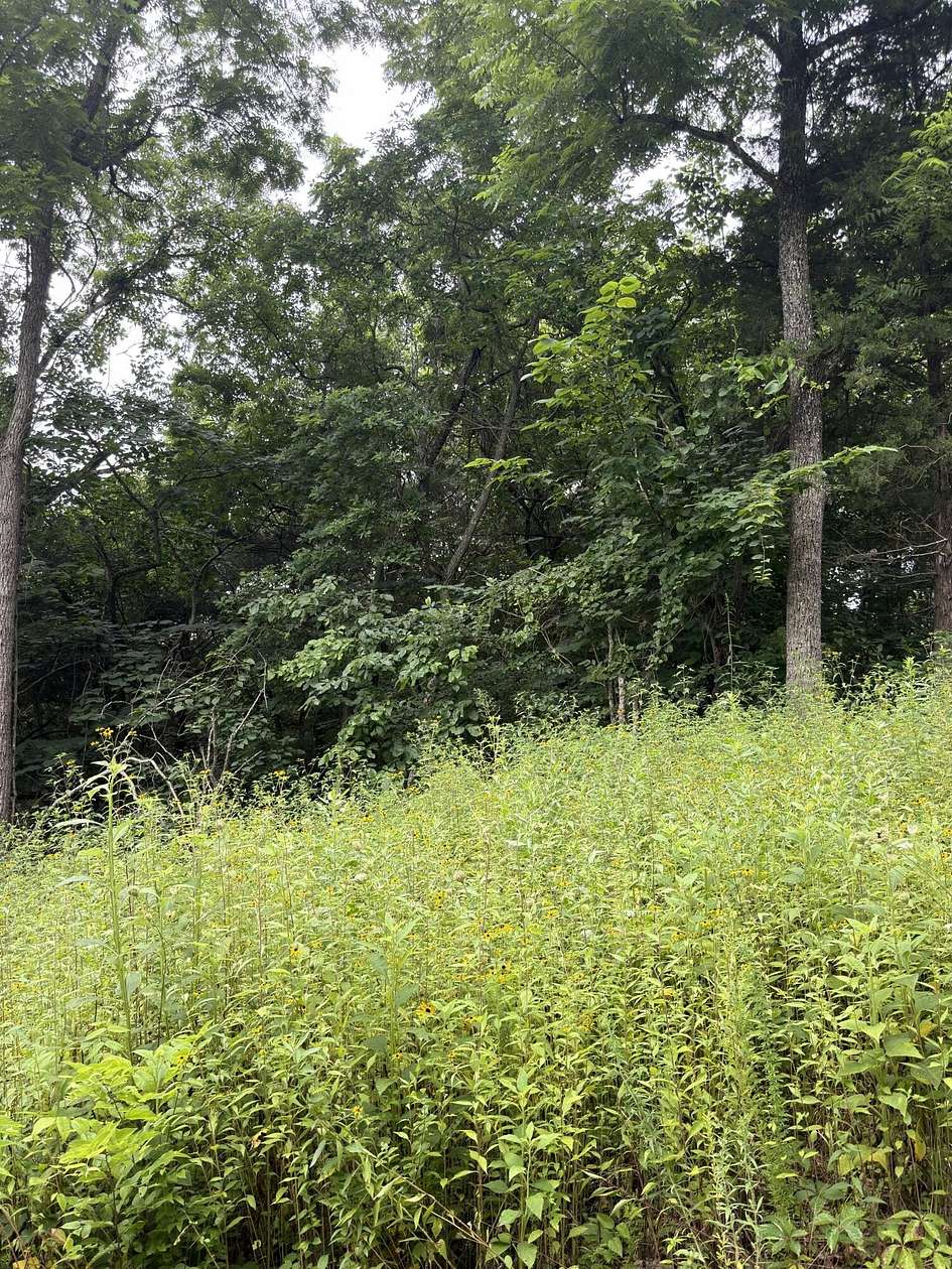 0.13 Acres of Residential Land for Sale in Shell Knob, Missouri