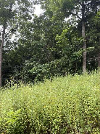0.13 Acres of Residential Land for Sale in Shell Knob, Missouri