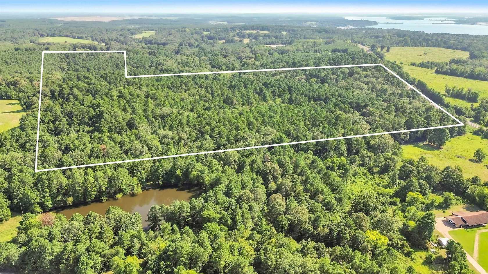 97.9 Acres of Recreational Land for Sale in Beckville, Texas
