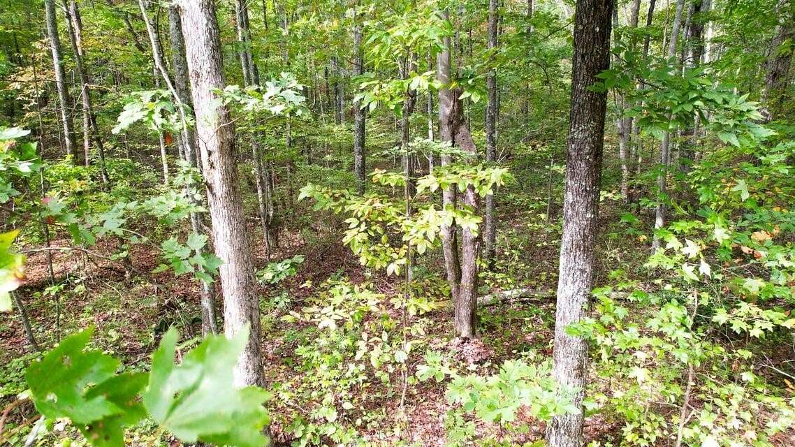4.16 Acres of Residential Land for Sale in Rising Fawn, Georgia