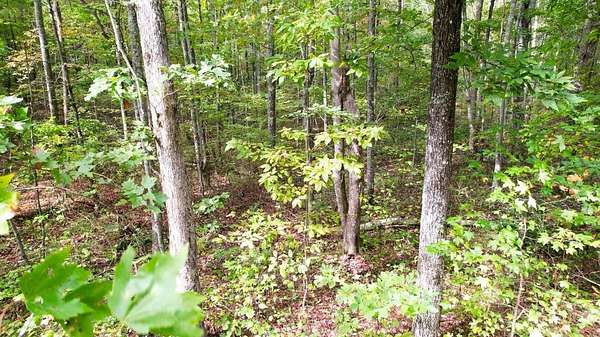 4.16 Acres of Residential Land for Sale in Rising Fawn, Georgia