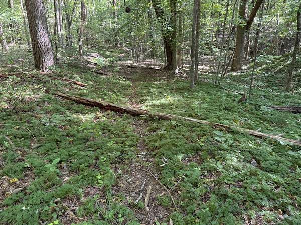 4.16 Acres of Residential Land for Sale in Rising Fawn, Georgia