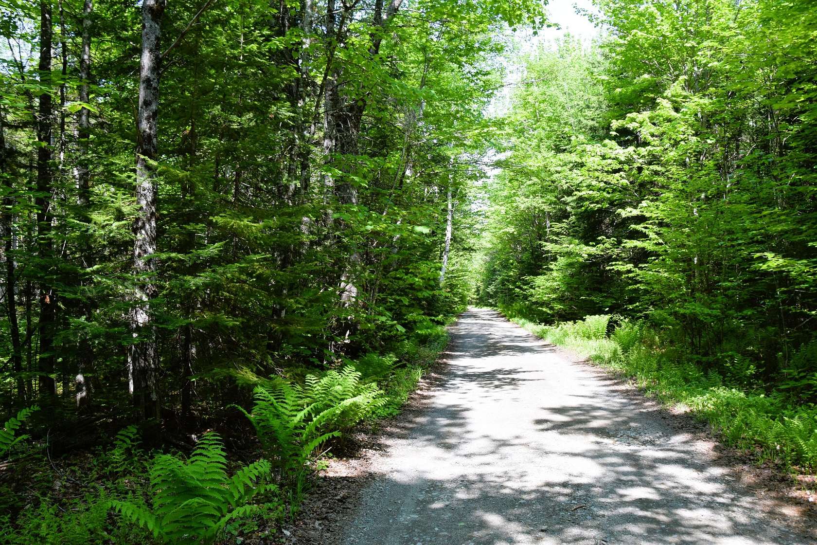 2.34 Acres of Land for Sale in Carrying Place Township, Maine