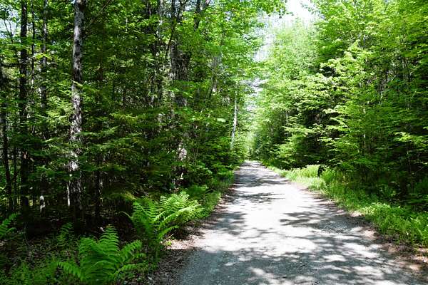 2.34 Acres of Land for Sale in Carrying Place Township, Maine