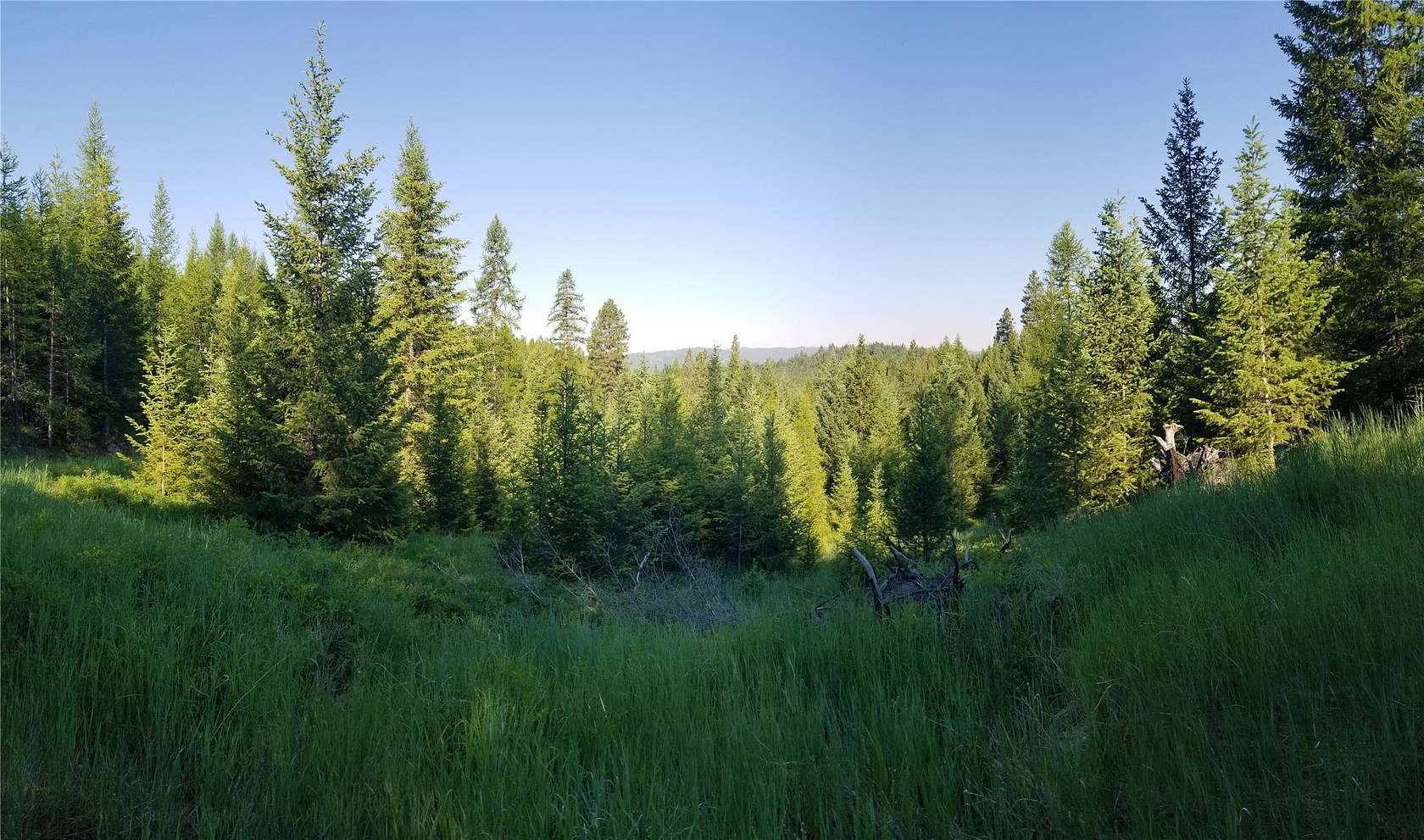 20 Acres of Land for Sale in Kalispell, Montana