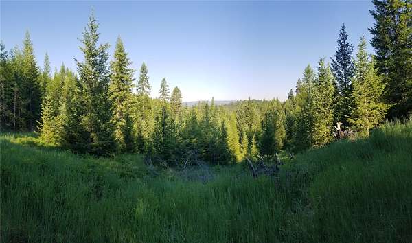 20 Acres of Land for Sale in Kalispell, Montana