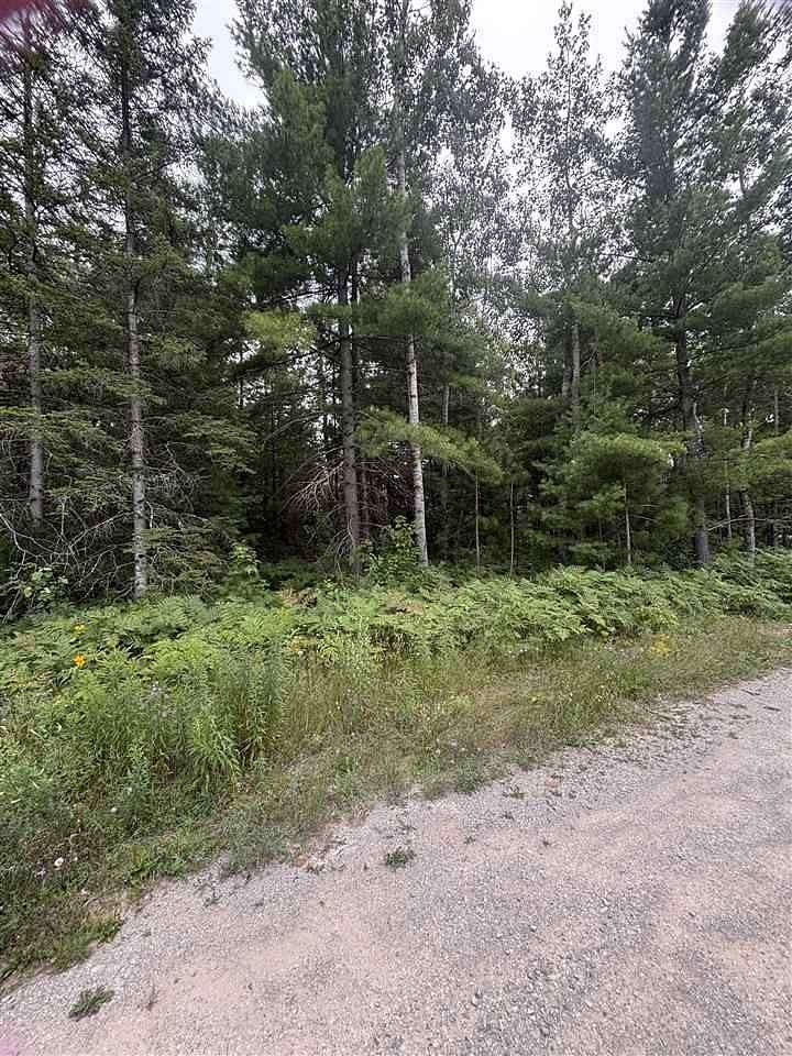 3.27 Acres of Commercial Land for Sale in Pellston, Michigan
