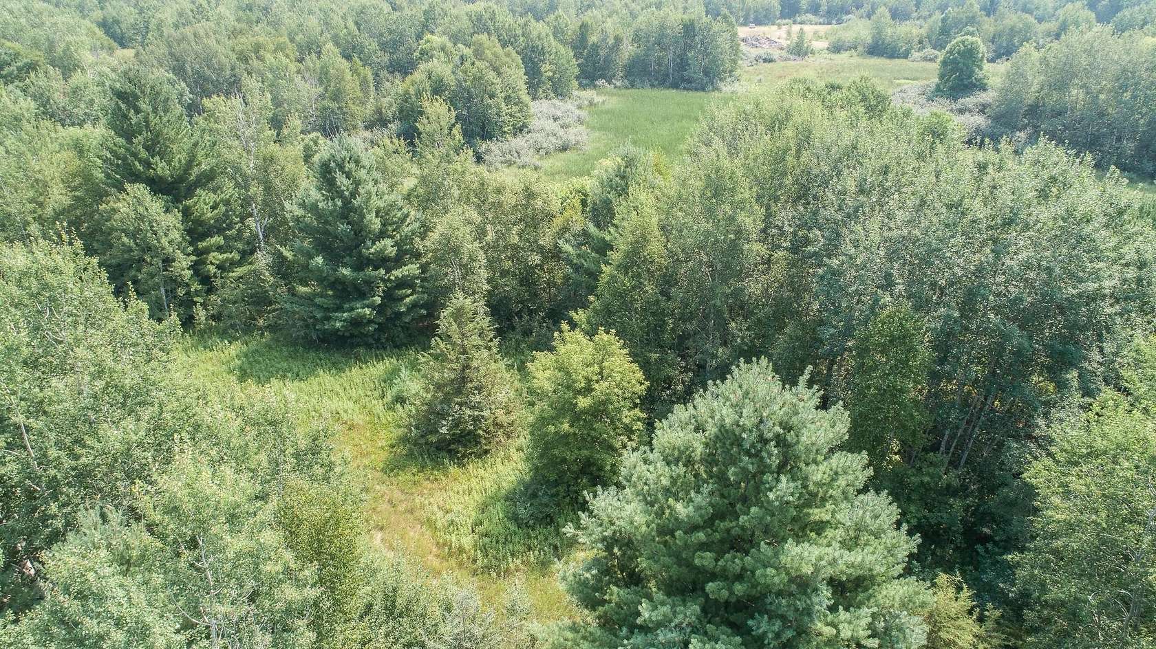 9.59 Acres of Residential Land for Sale in Harris, Minnesota
