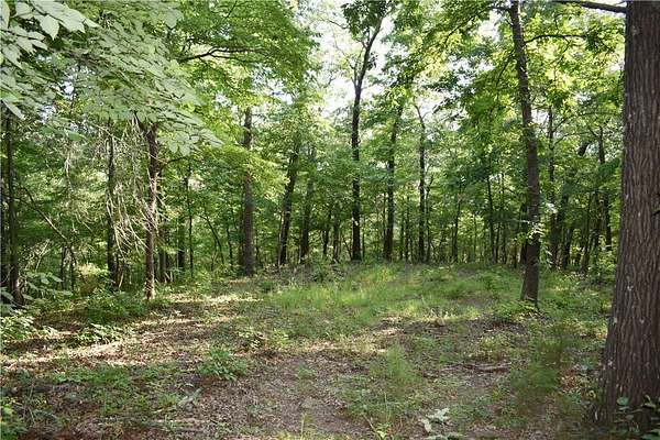 40 Acres of Recreational & Residential Land for Sale in Elkins, Arkansas