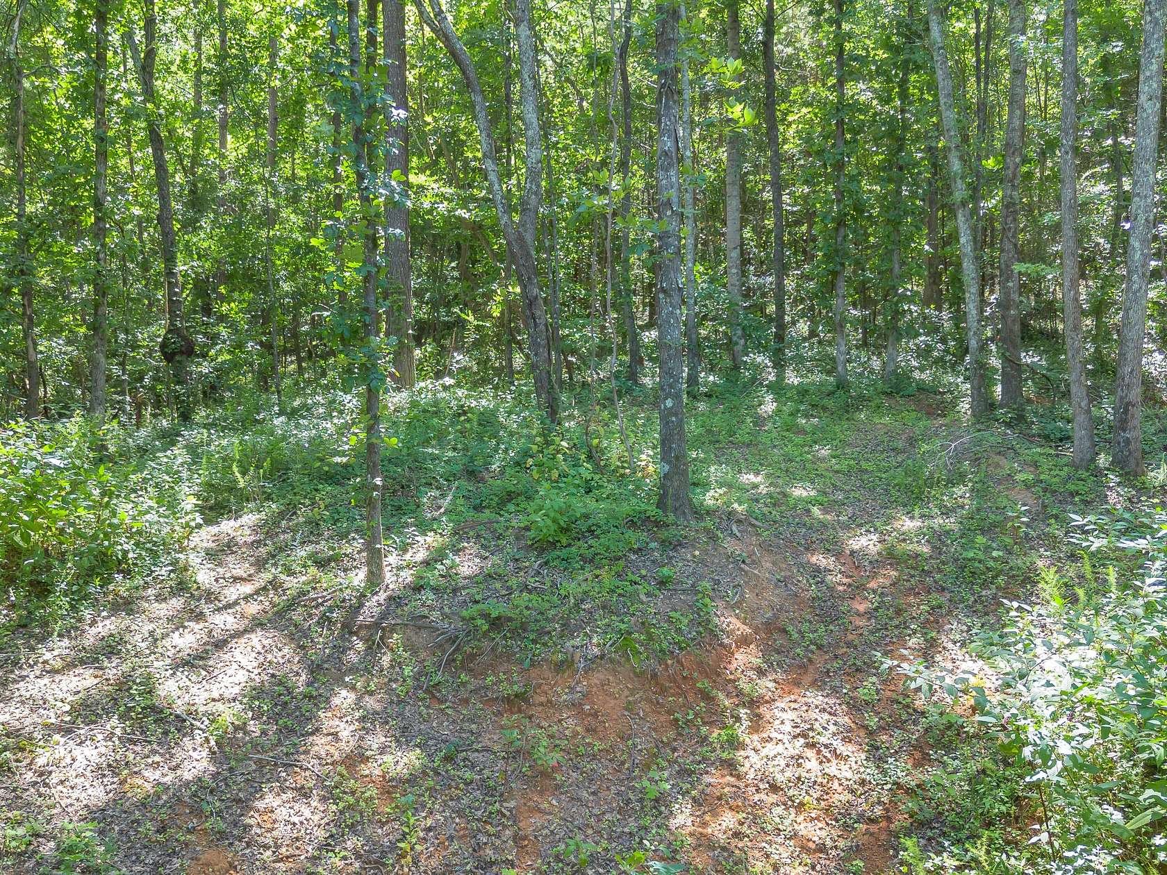 6.32 Acres of Residential Land for Sale in Whitwell, Tennessee