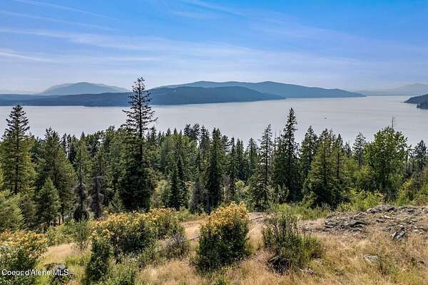 20 Acres of Land for Sale in Hope, Idaho