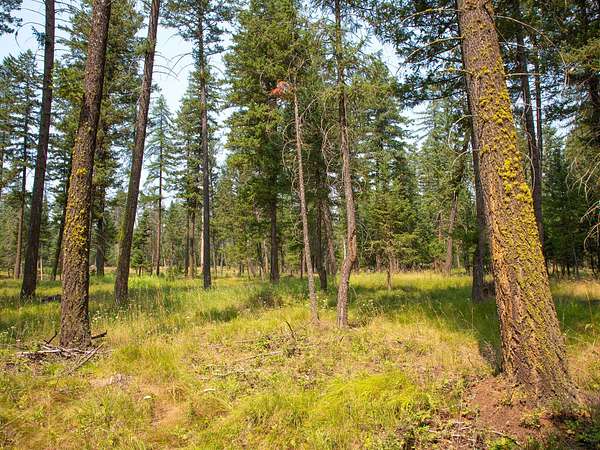57.8 Acres of Recreational & Residential Land for Sale in Kalispell, Montana