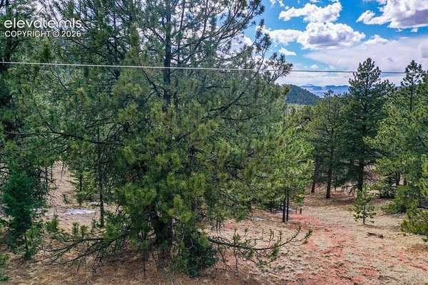 0.98 Acres of Land for Sale in Cripple Creek, Colorado