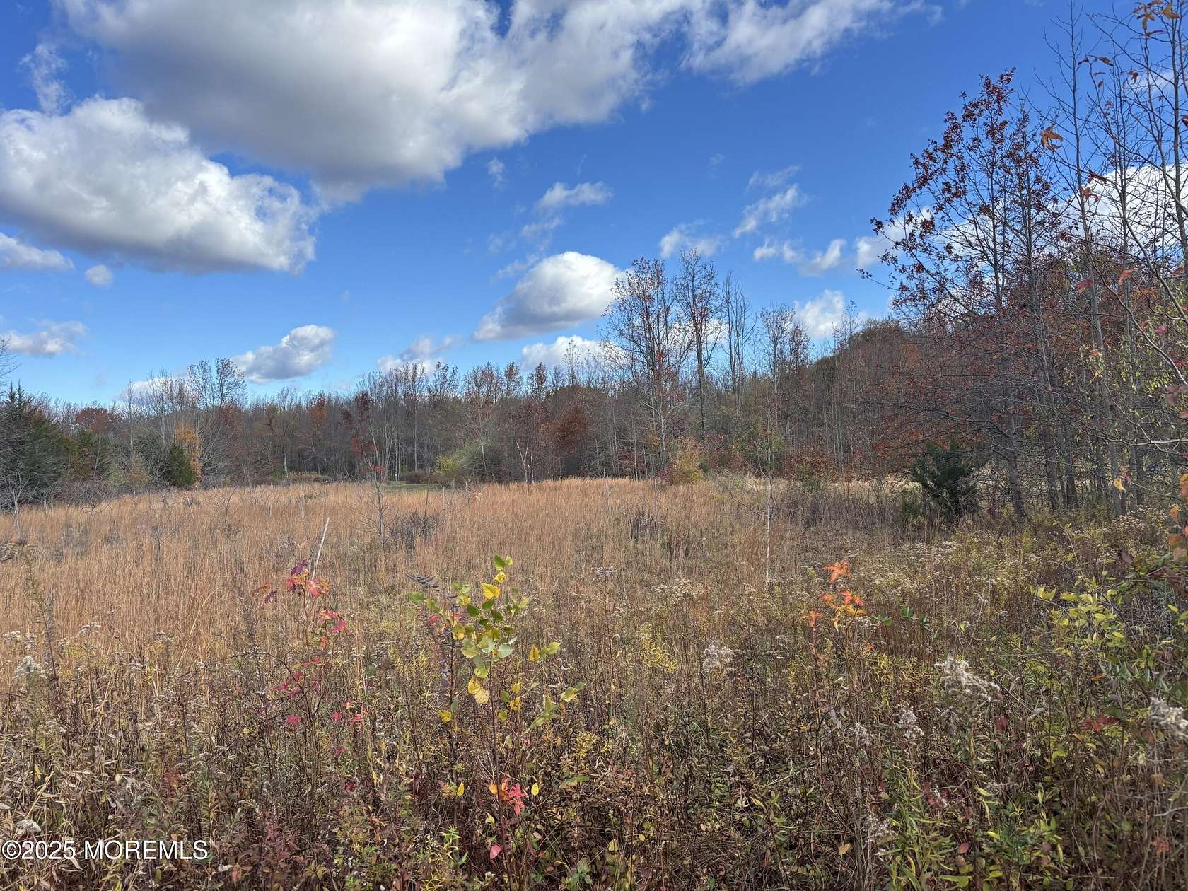 3 Acres of Residential Land for Sale in Manalapan, New Jersey