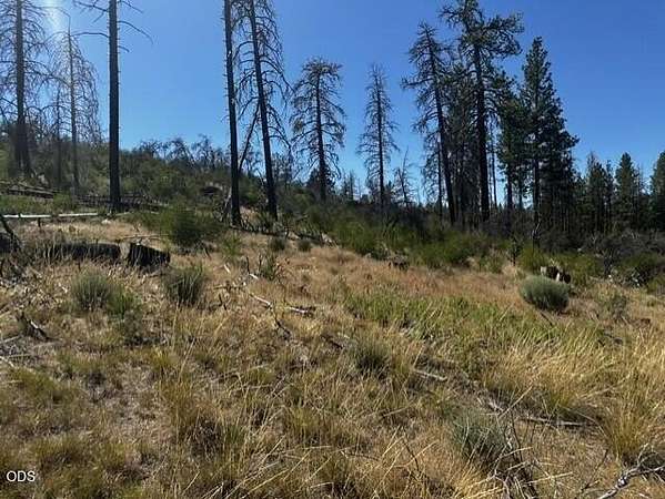 15 Acres of Recreational & Residential Land for Sale in Bonanza, Oregon