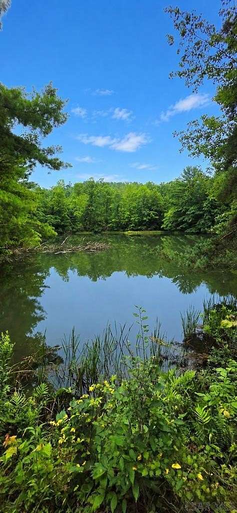 52 Acres of Agricultural & Residential Land for Sale in Northern Cambria, Pennsylvania