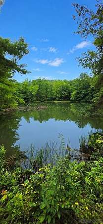 52 Acres of Agricultural & Residential Land for Sale in Northern Cambria, Pennsylvania