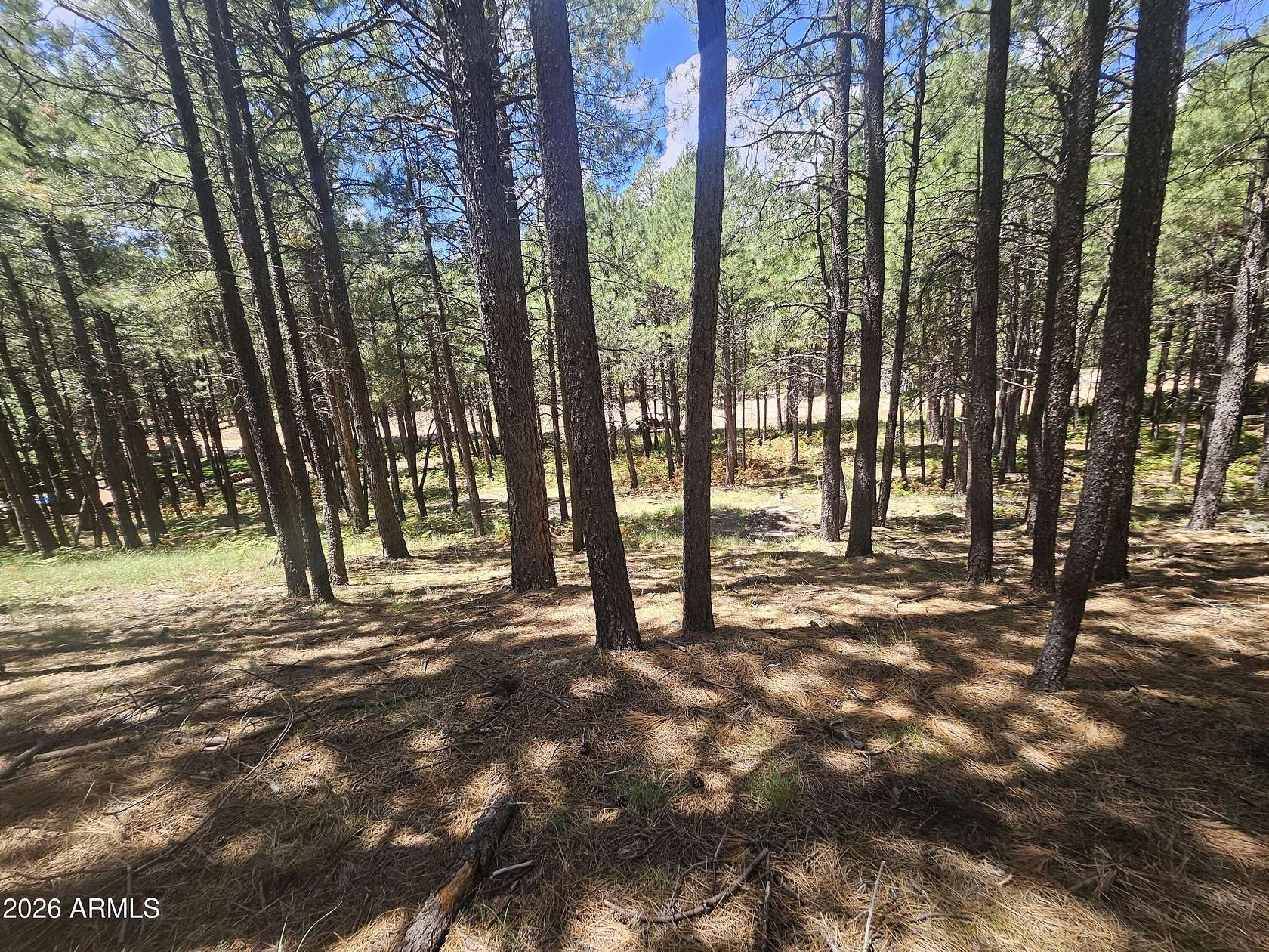 1 Acre of Residential Land for Sale in Forest Lakes Estates, Arizona