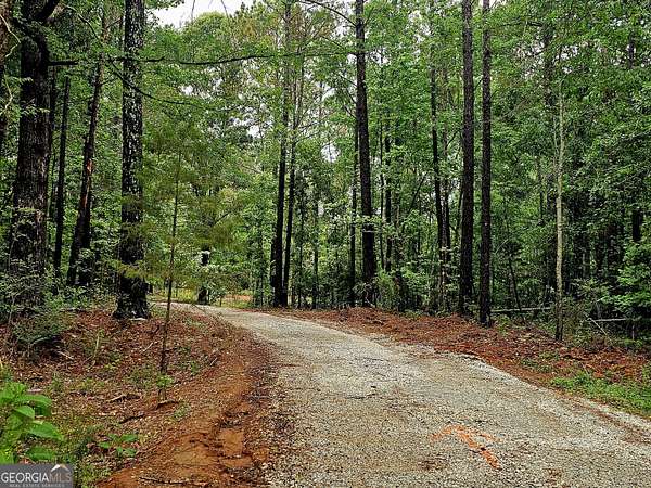 4 Acres of Land for Sale in Franklin, Georgia