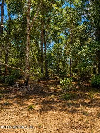 0.2 Acres of Residential Land for Sale in Hawthorne, Florida