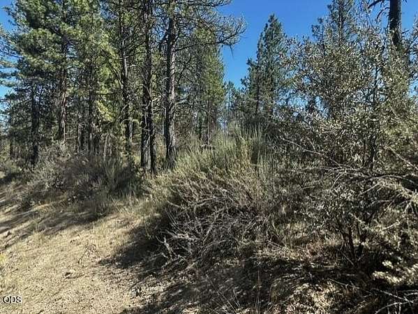 2.62 Acres of Residential Land for Sale in Bonanza, Oregon
