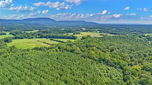 141 Acres of Recreational Land with Home for Sale in Dardanelle, Arkansas