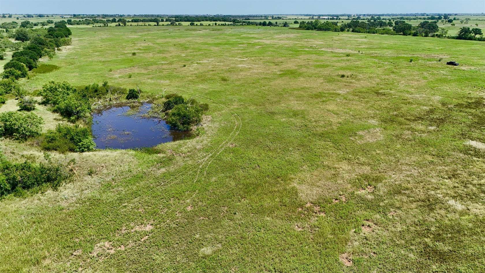 20 Acres of Recreational Land for Sale in Carbon, Texas