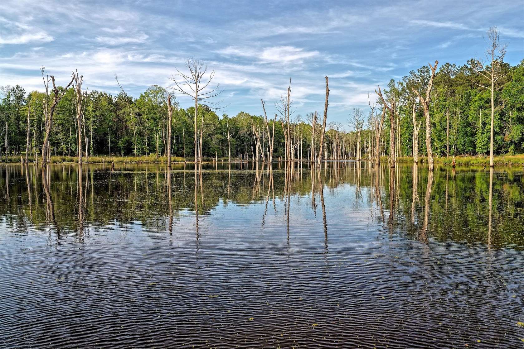 341 Acres of Recreational Land for Sale in Carthage, Texas