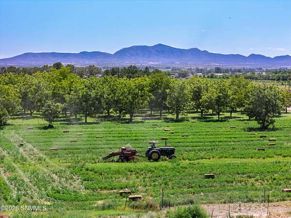 5 Acres of Residential Land for Sale in Anthony, New Mexico