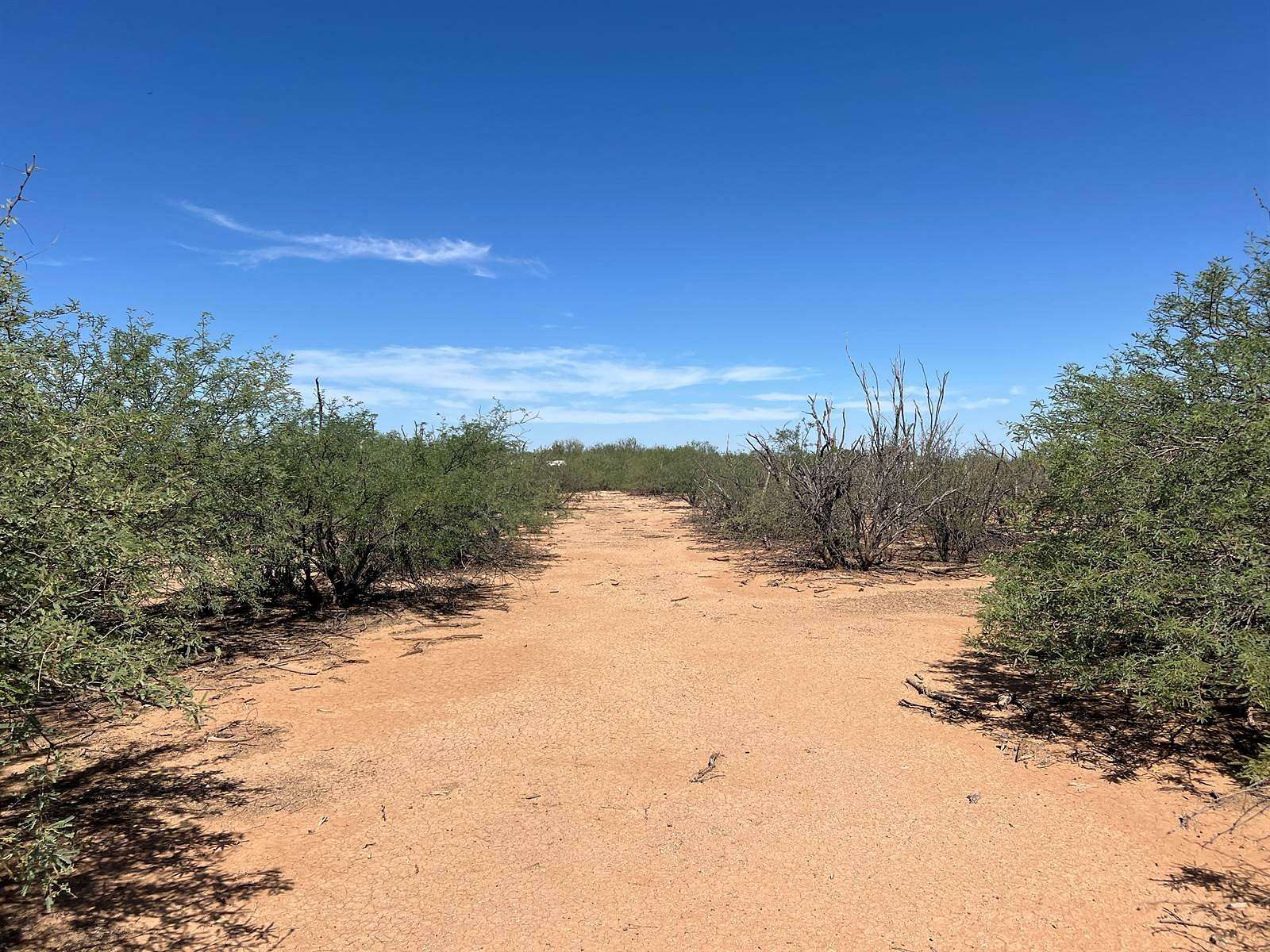 4.67 Acres of Residential Land for Sale in Tucson, Arizona