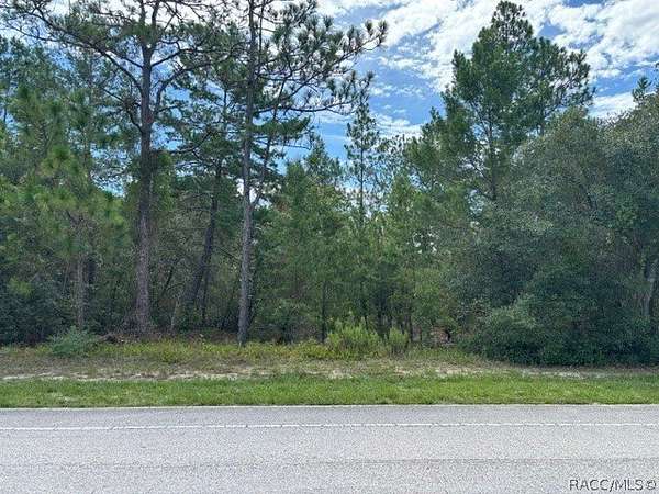 0.63 Acres of Mixed-Use Land for Sale in Citrus Springs, Florida