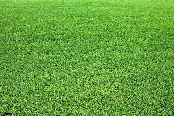 1.15 Acres of Land for Sale in Galloway, New Jersey