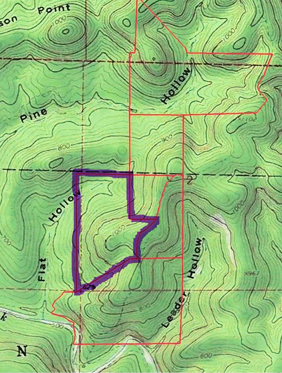 77.6 Acres of Land for Sale in Flippin, Arkansas