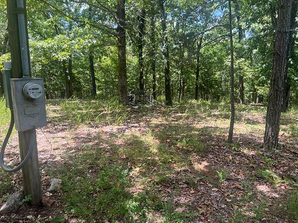 77.6 Acres of Land for Sale in Flippin, Arkansas