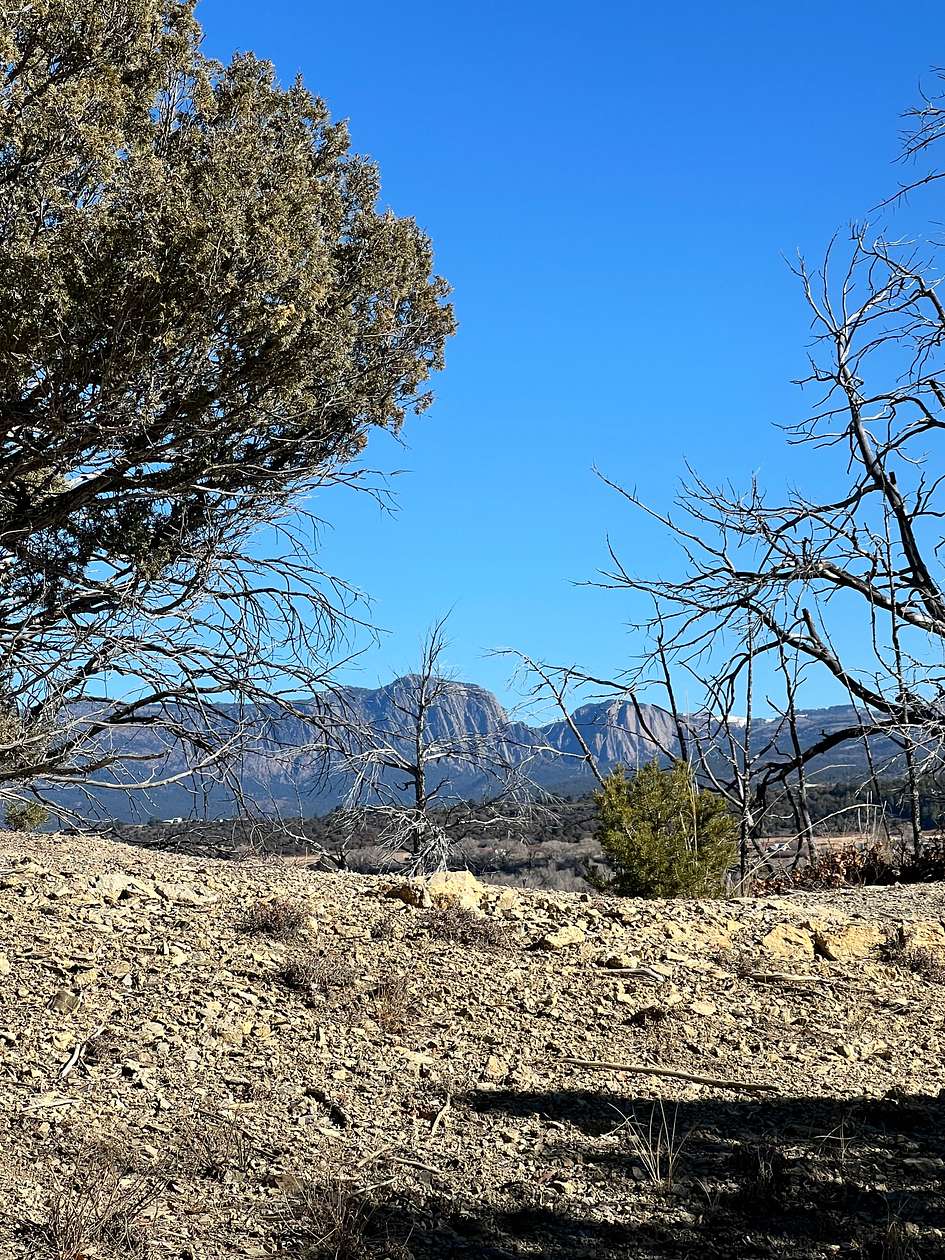 2.73 Acres of Land for Sale in Los Ojos, New Mexico