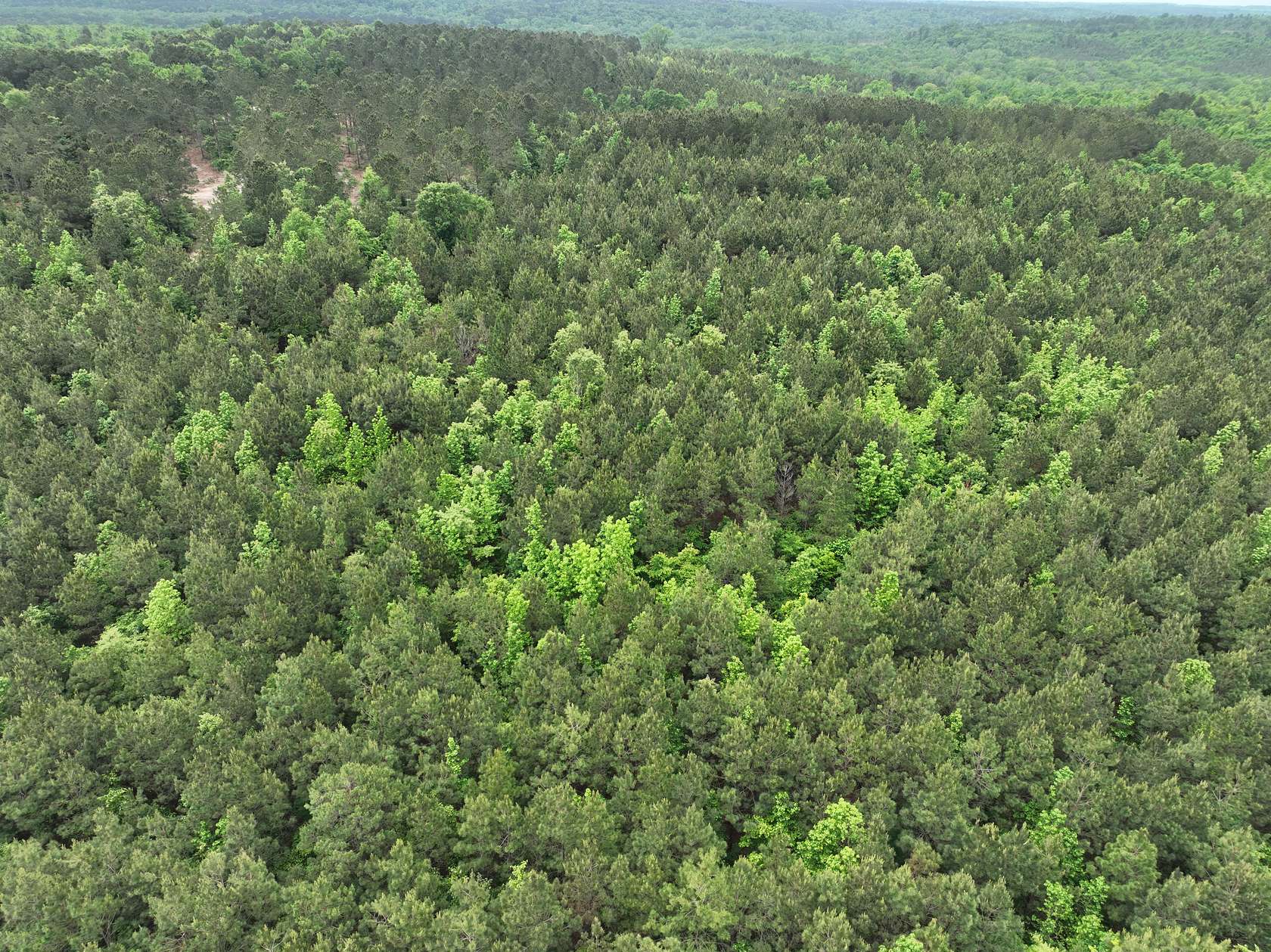 19.8 Acres of Land for Sale in Douglassville, Texas