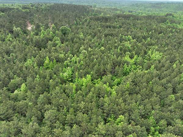 19.8 Acres of Land for Sale in Douglassville, Texas