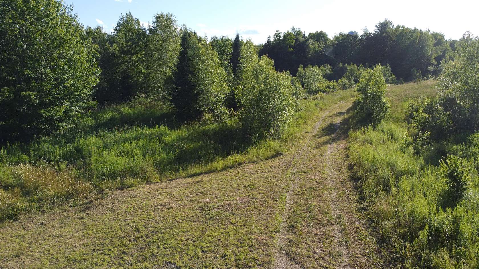 195 Acres of Land for Sale in Reed, Maine