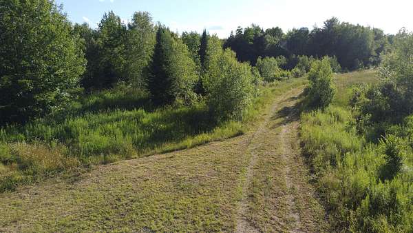 195 Acres of Land for Sale in Reed, Maine