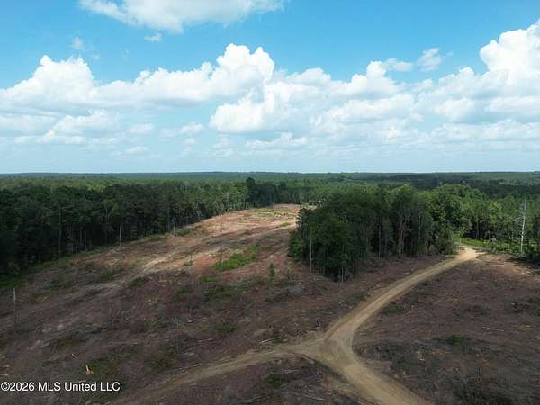 35 Acres of Land for Sale in Bogue Chitto, Mississippi
