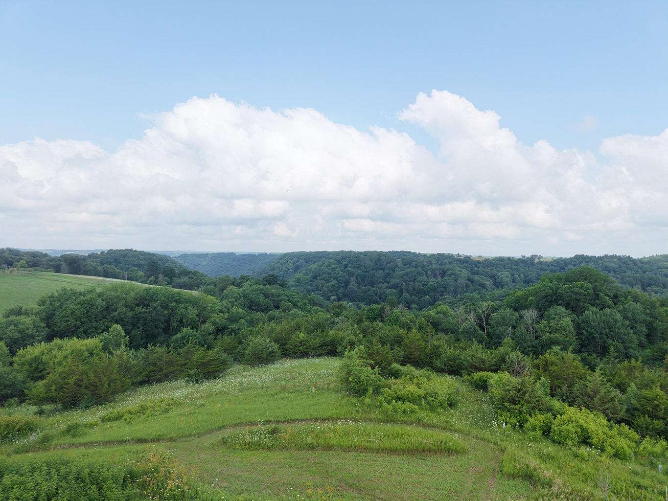 10.7 Acres of Land for Sale in Viola, Wisconsin