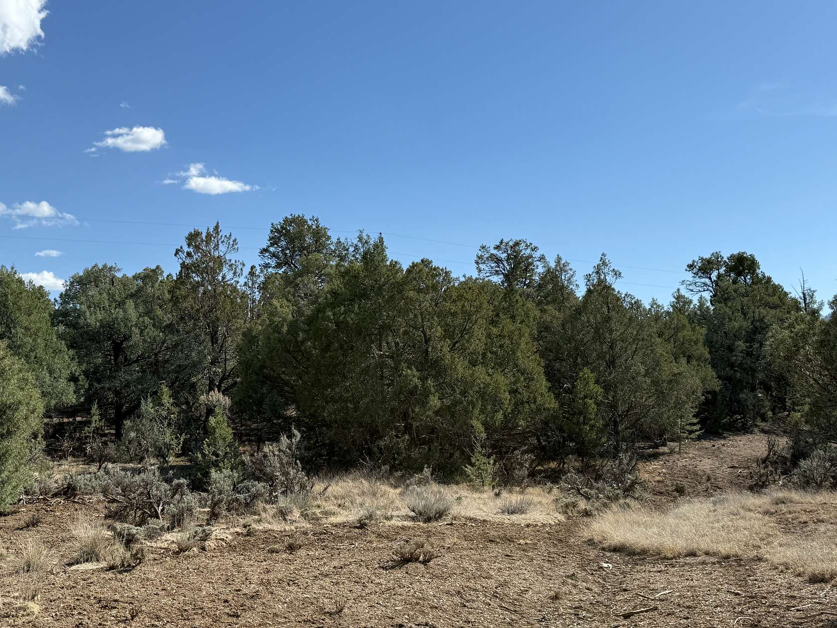 0.86 Acres of Land for Sale in Los Ojos, New Mexico
