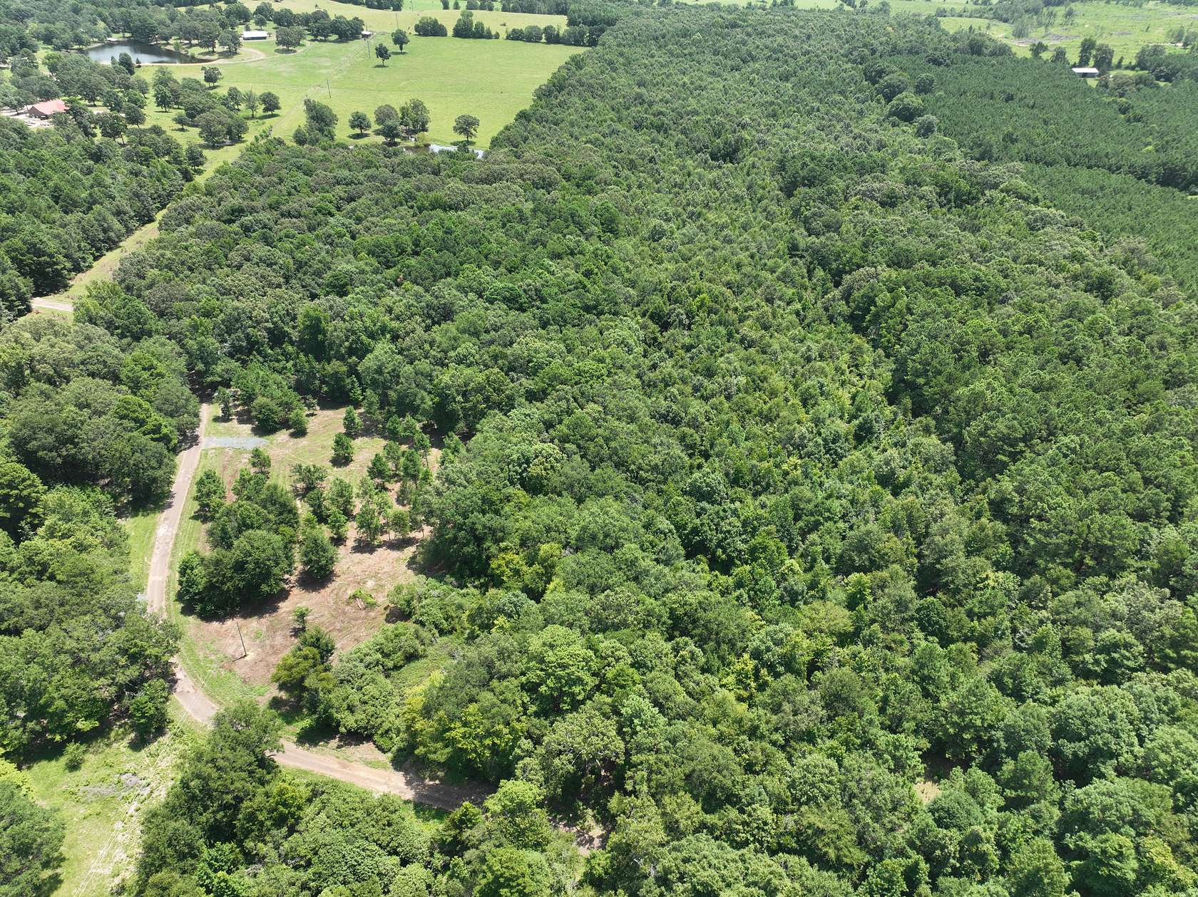 11.3 Acres of Land for Sale in Atlanta, Texas