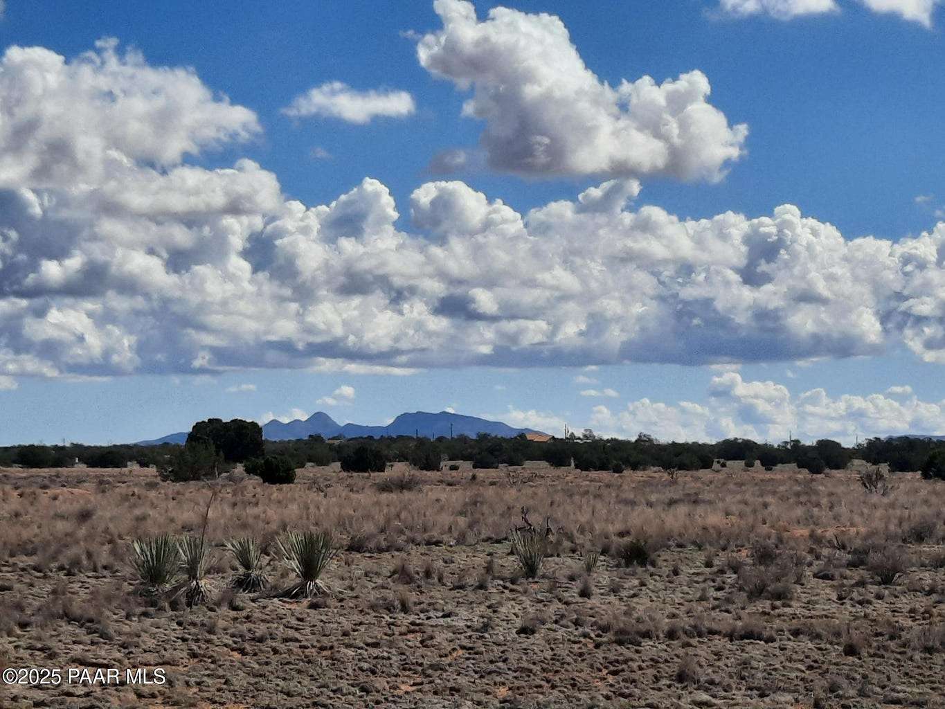 4 Acres of Agricultural Land for Sale in Seligman, Arizona