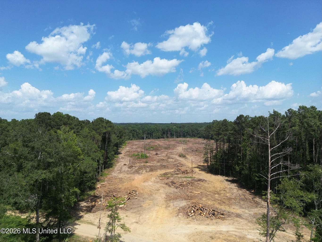 25 Acres of Land for Sale in Bogue Chitto, Mississippi