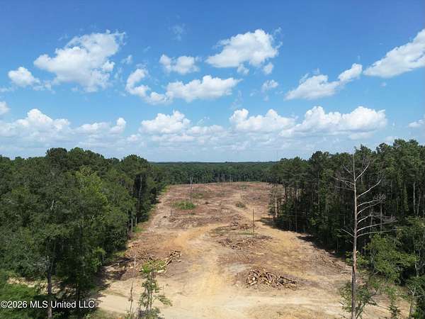 25 Acres of Land for Sale in Bogue Chitto, Mississippi